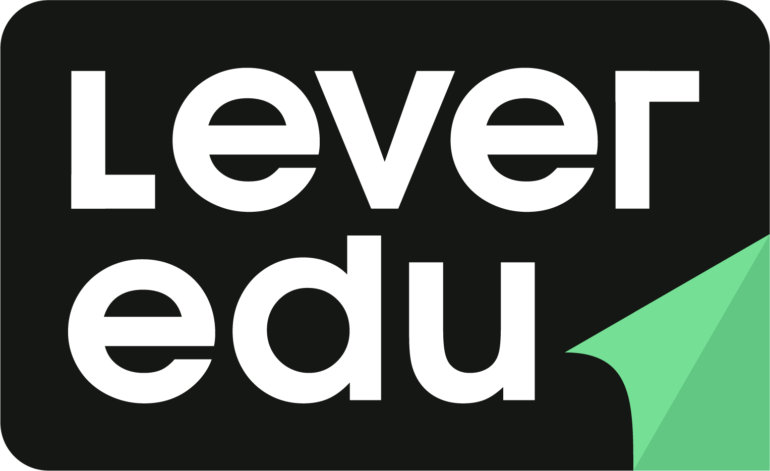 LEVER logo